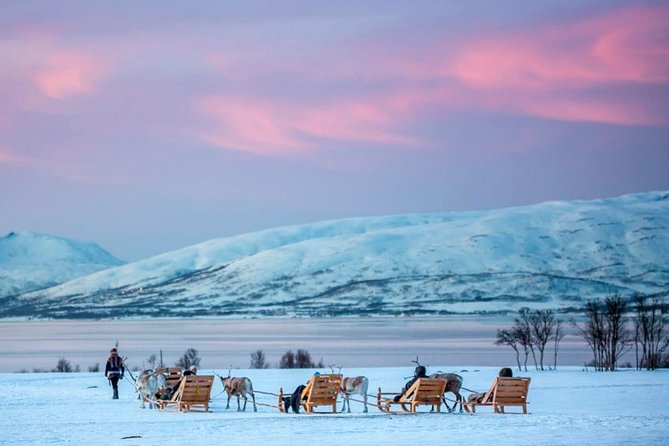 Night Reindeer Sledding with Camp Dinner and Chance of Northern Lights - Northern lights chance: how to enjoy it without counting on it
