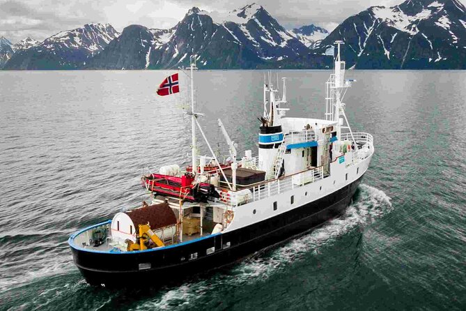 Northern Light cruise on the vintage vessel MS Strønstad - When the lights are there: what the better nights feel like