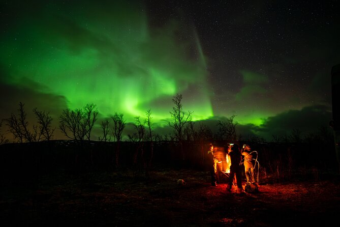 Northern light hunt in Tromsø. WiFi included - Where the aurora hunt starts: Tromsø at 7:00 pm