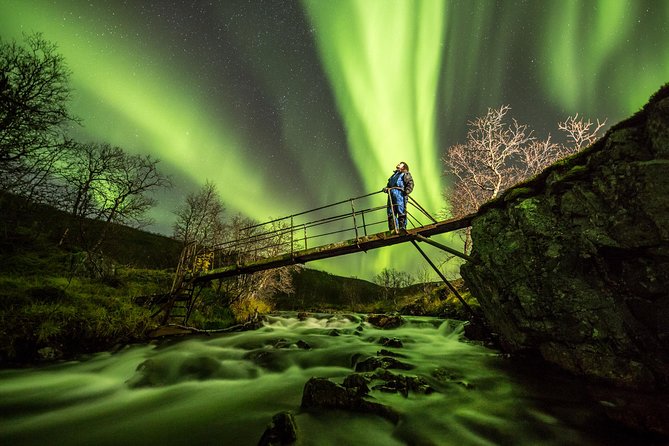 Northern Lights Adventure with Greenlander, 8 people max - Your six to nine hour evening: pickup, the hunt, then the warm part