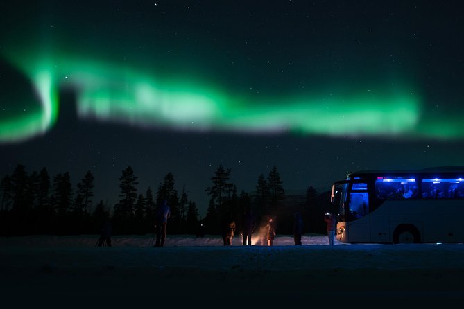 Northern Lights Big Bus Chase with Chasing Lights - Price and What Makes It Feel Worth It