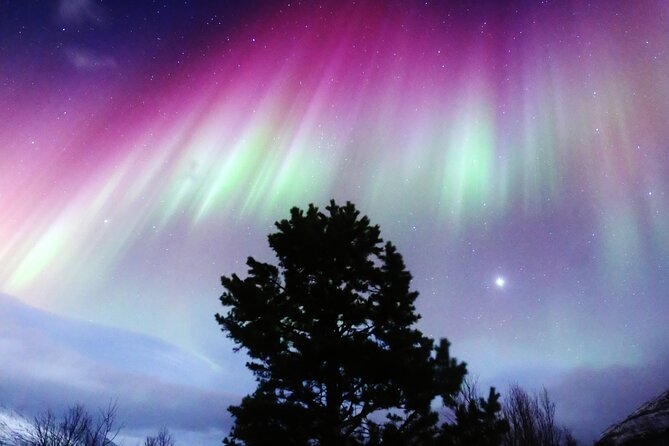 Northern Lights Big Bus Chase with Free Photos - Key Things To Know Before You Chase the Aurora in Tromsø