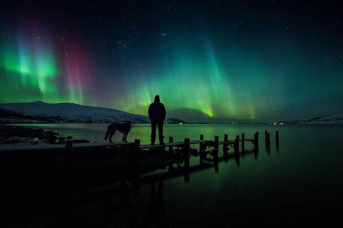 Northern Lights Big Bus Chase with Free Photos - Price and Value: What You Get for About $118.77
