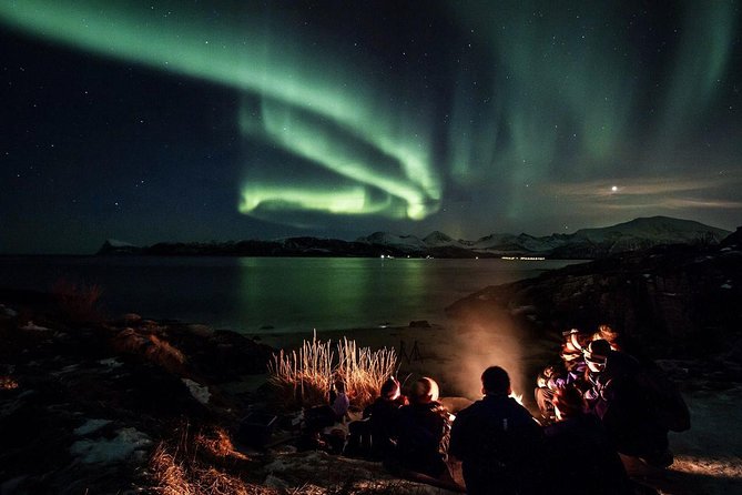Northern Lights Big Bus Chase with Free Photos - Meeting at Fiskekompaniet and What the 7 to 9 Hours Feels Like