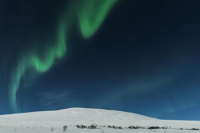 Northern lights cable car excursion - The Food Situation: Coffee, Waffles, and Not-Quite-Dinner Expectations