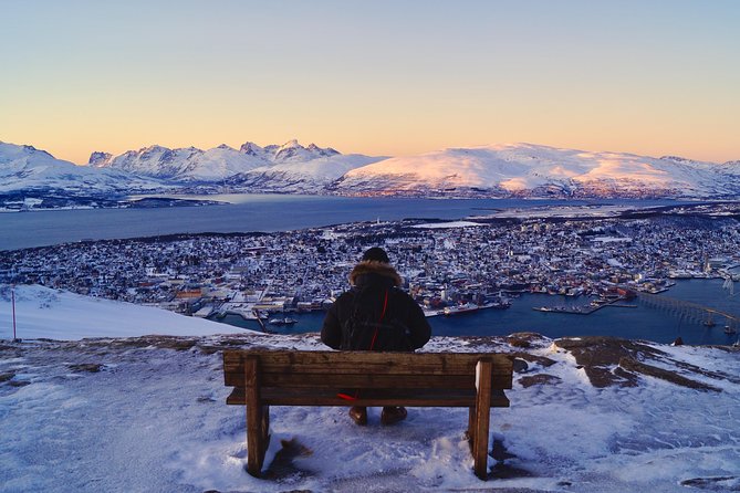 Northern lights cable car excursion - Weather, Wind, and Safety-First Cancellations