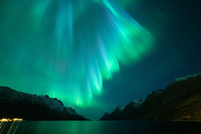 Northern Lights Chase by Bus in Tromso - Northern Lights chase by bus in Tromsø: what this experience is really like