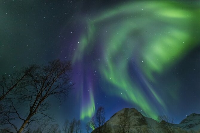 Northern Lights Chase by Bus in Tromso - What you do at the stops: standing, setup, and waiting for the sky