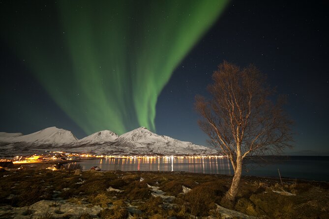 Northern Lights Chase by Bus in Tromso - Group size, bus comfort, and why smaller tours can feel better