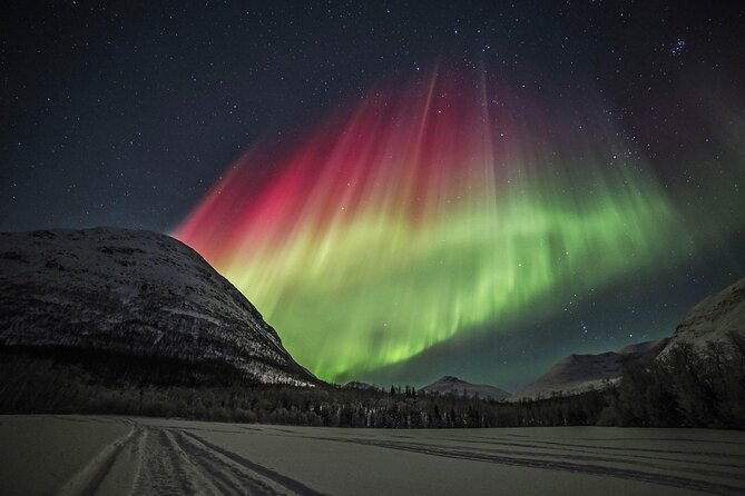 Northern Lights Chase with Photography from Tromsø - Key highlights to know before you book