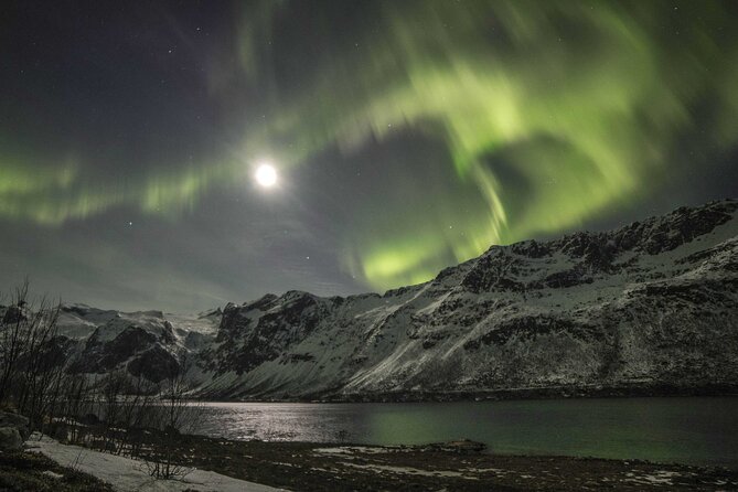 Northern Lights Chase with Photography from Tromsø - Crowds and parking lots: the trade-off of high-odds aurora spots
