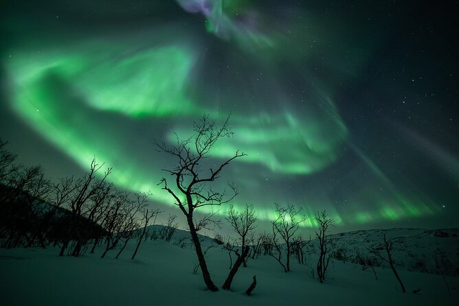 Northern Lights Expedition Tromsø - 6 people - Arctic Photo Guide - The Forecast Changes Everything, and You Feel That from Minute One