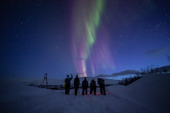 Northern Lights Expedition Tromsø - 6 people - Arctic Photo Guide - Photography Support: Benro Tripods and Tips for Real Shooting