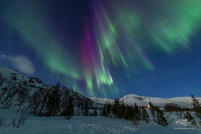 Northern Lights Guided Bus Tour with Free Photos - Key points at a glance