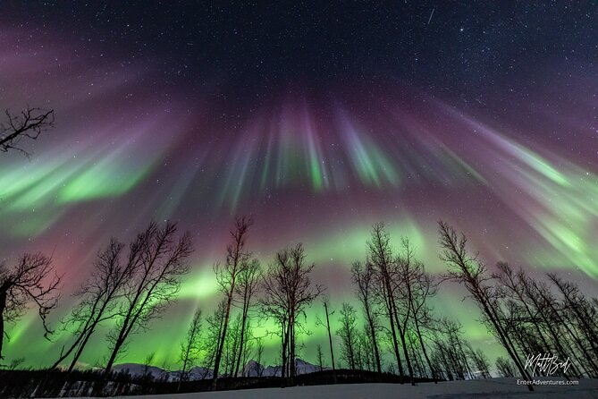 Northern Lights Guided Bus Tour with Free Photos - Tromsø Pickup at Kaigata 2B and What the 6:00 pm Start Changes