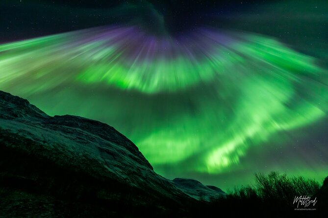 Northern Lights Guided Bus Tour with Free Photos - Who this Northern Lights bus tour is best for