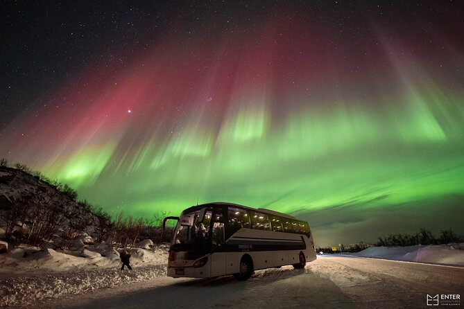 Northern Lights Guided Bus Tour with Free Photos - Forecast-led Aurora chasing from a cozy bus