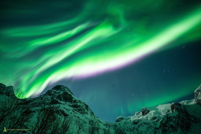 Northern Lights Hunt with The Green Adventure - photos included - What happens outside: warm food, bonfire marshmallows, and thermal suit time