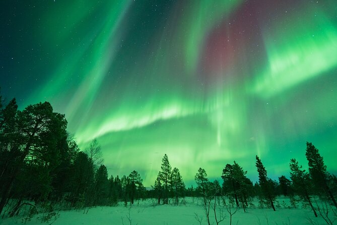 Northern Lights Hunt with The Green Adventure - photos included - Where you start in Tromsø, and how the evening actually flows