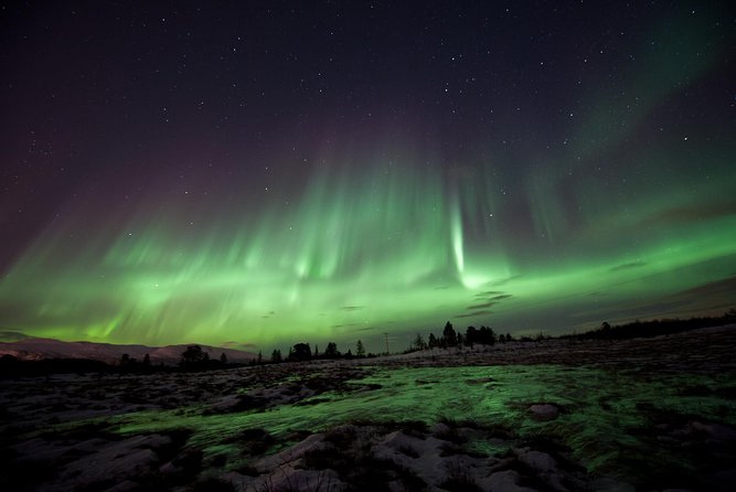 Northern Lights Husky Visit - Key points before you go