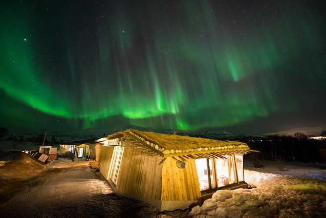 Northern Lights Husky Visit - Why this Tromsø husky and aurora camp feels like the best combo