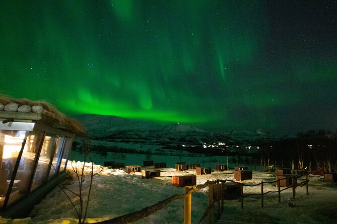 Northern Lights Husky Visit - The Aurora Camp dinner in a Gamme-hut: bacalao, bread, and chocolate by open fire