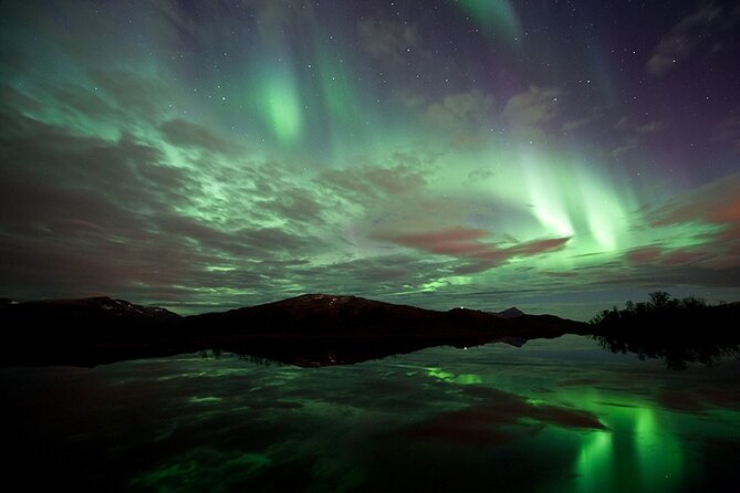 Northern Lights Husky Visit - Who should book this husky aurora evening, and who should skip it