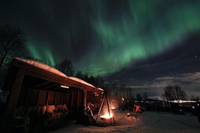 Northern Lights Husky Visit - Tromsø Wilderness Centre: thermal suits, husky kennel time, and the real feel of Arctic work