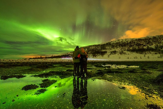 Northern Lights Photography Online Workshop - Wandering Owl’s 2-hour session: what you can expect minute to minute