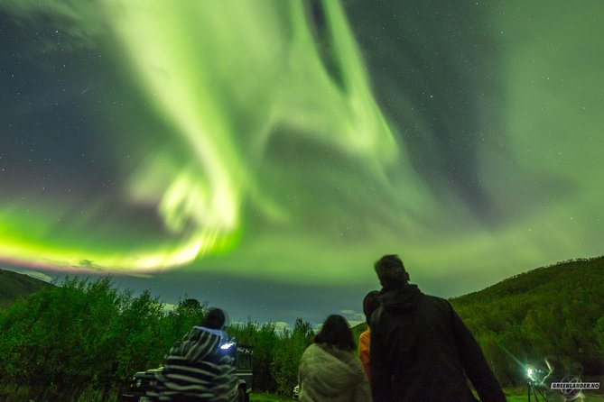 Northern Lights Private tour with your special ones - Greenlander - Private Northern Lights From Tromsø, What You Actually Get