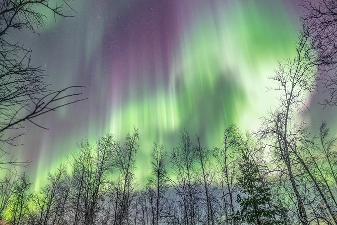 Northern Lights Private tour with your special ones - Greenlander - Campfires, Hot Chocolate, and Keeping the Night Comfortable