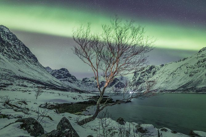 Northern Lights Private tour with your special ones - Greenlander - Meeting at 17.50 and Starting at 18.00, How to Plan Your Evening