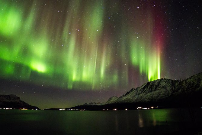 Northern Lights Safari from Tromso - Key Points Before You Go