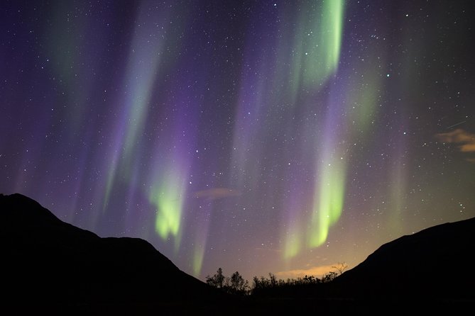 Northern Lights Safari from Tromso - Staying Warm Like You Mean It: Thermal Suits, Coffee, Tea, and Cake