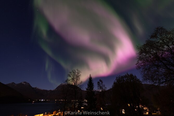 Northern Lights Safari from Tromso - Price and Value: Is $152.21 Worth It?