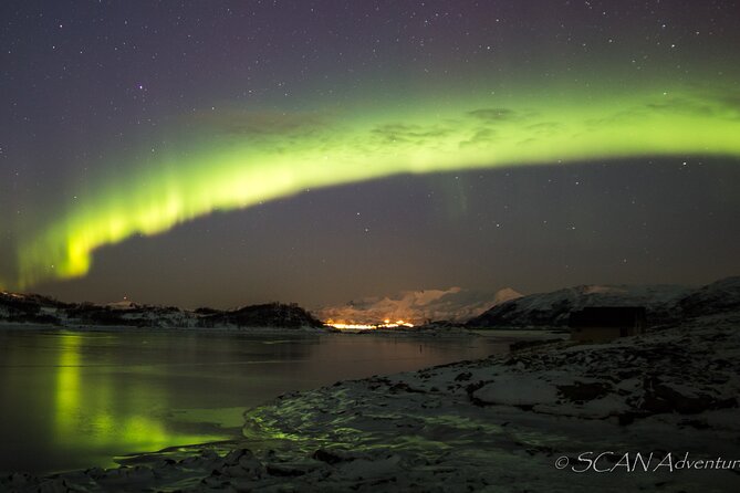Northern Lights Safari from Tromso - Who This Tour Suits Best (And Who Might Want Something Else)