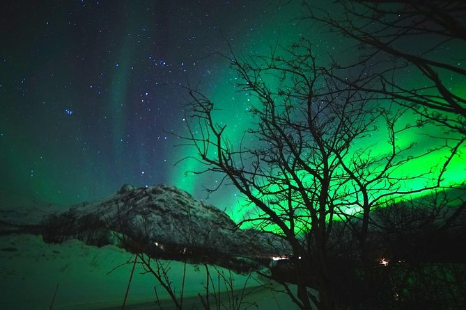 Northern lights - TeslaX Ecofriendly Car - Price and value of a premium aurora night
