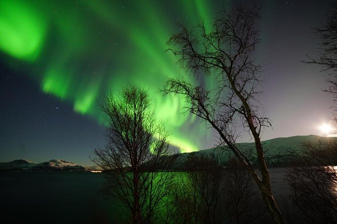 Northern lights - TeslaX Ecofriendly Car - How good is the aurora chance here
