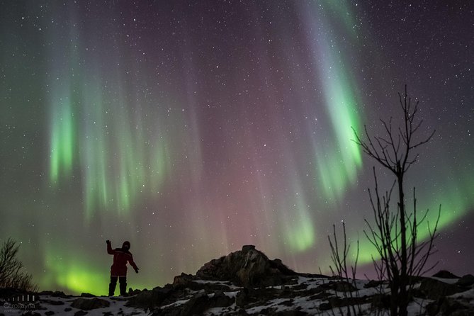 Northern Lights tour - All inclusive - Northern Horizon - Guide photography and what you actually get after the tour