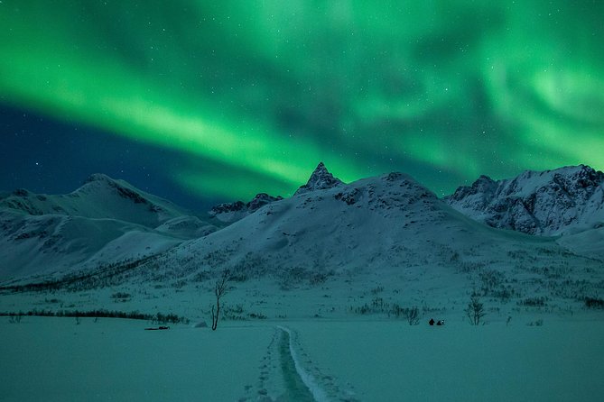 Northern Lights Tour from Tromsø - Troms sky stop: suits, tripods, and getting your aurora photos right
