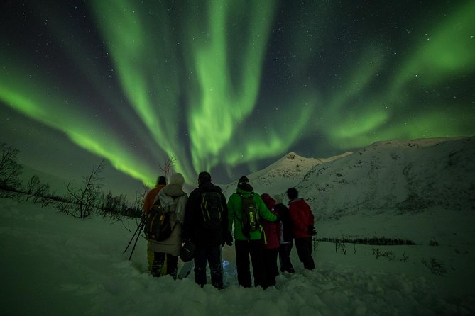 Northern Lights Tour from Tromsø - Bonfire comfort, hot drinks, and the classic Norwegian meal