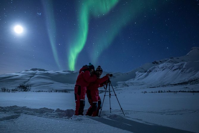 Northern Lights Tour from Tromsø - When the clouds win: how the guides respond in real time