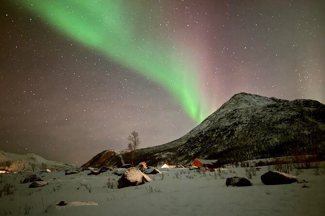 Northern Lights Tour with Hot Food and Drinks in Tromso - How This Tromsø Aurora Hunt Actually Feels