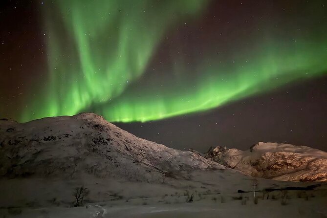 Northern Lights Tour with Hot Food and Drinks in Tromso - Thermal Suits, Headlights, and What You Still Need to Bring