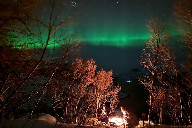 Northern Lights Tour with Hot Food and Drinks in Tromso - Photo Stops, Tripods, and the Difference Between Seeing and Capturing