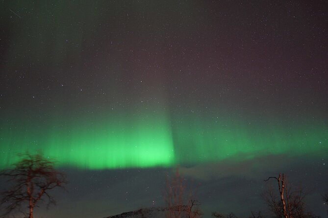 Northern Lights Tour with Local Guide and Photos - Return Drive: How the Evening Typically Ends