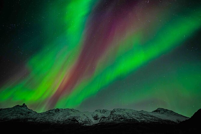 Northern Lights Tour with small group of 8 people - Key Highlights You Can Actually Use