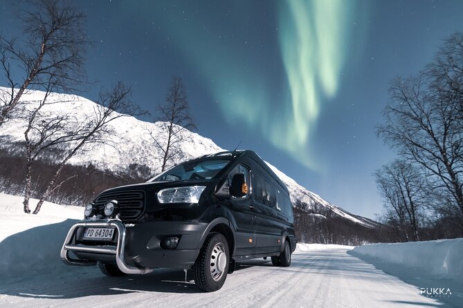 Northern Lights x Mini Bus Chase - Bonfire, sausages, s’mores, and hot drinks, why the food is more than a perk