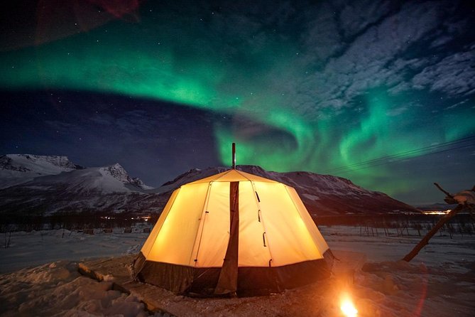 Overnight Stay with Reindeer Sledding & Feeding - Key Things That Make This Tour Special