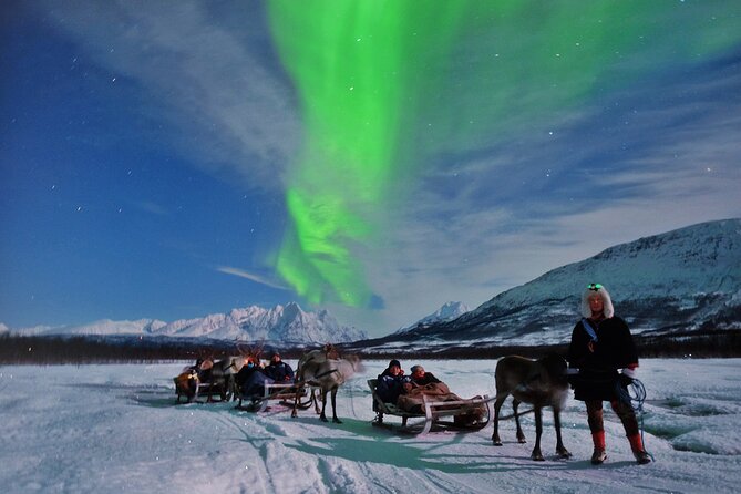 Overnight Stay with Reindeer Sledding & Feeding - Dinner Time: A Traditional Sami Stew by Fire